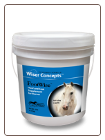 Wiser Concepts Footwise 1.25 kg. Wiser Concepts Footwise 1.25 kg.